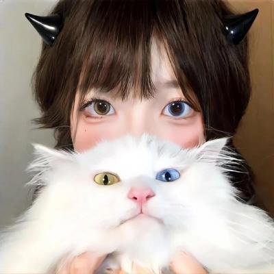 怪侠一枝梅粤语